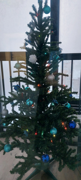 Квартира на Михайловской Набережной