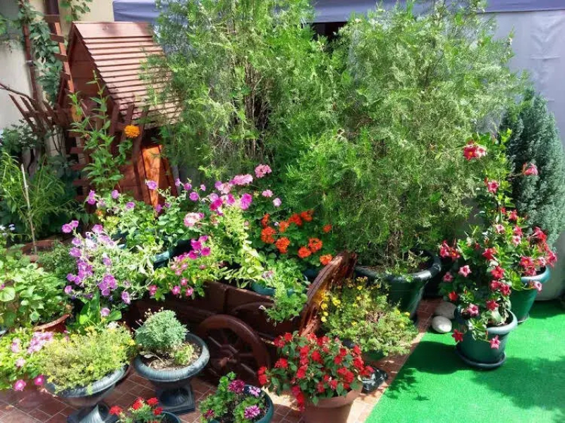 AdlerOk Guest House