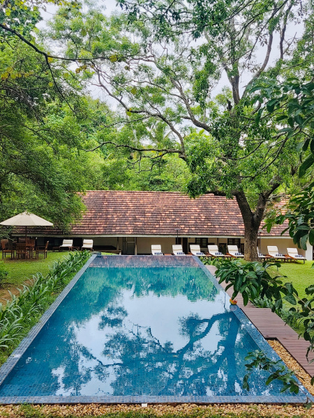 Отель EKHO Sigiriya - 700 meters to Sigiriya Rock
