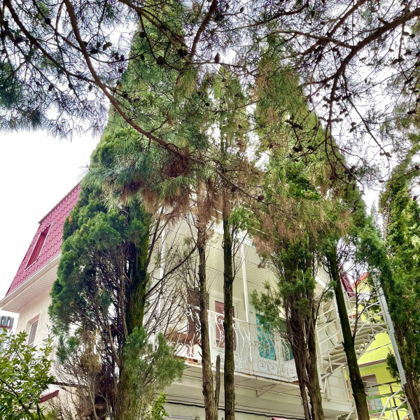 Гостевой дом Милка