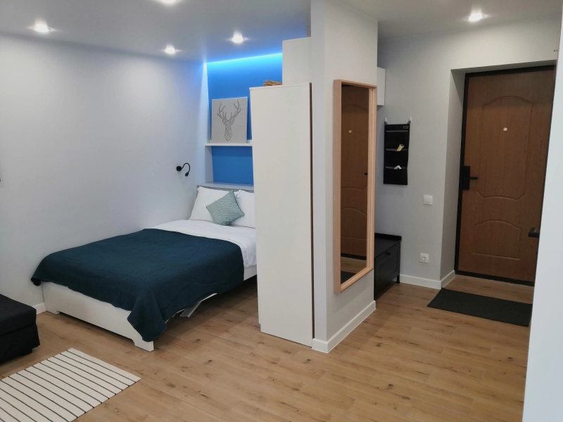 Квартира Luxury Studio на Пушкина