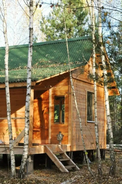 Апартаменты Уютный дом на природе в лесу