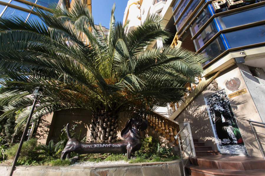 Отель «Жемчуг»