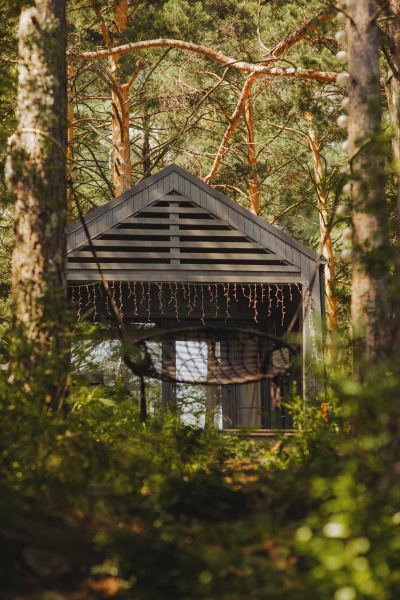 База отдыха Belka Forest House