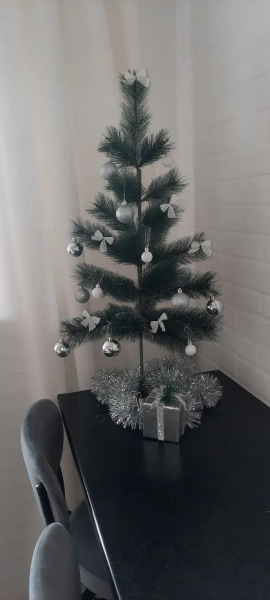 Апартаменты Вгости33 Фейгина 22