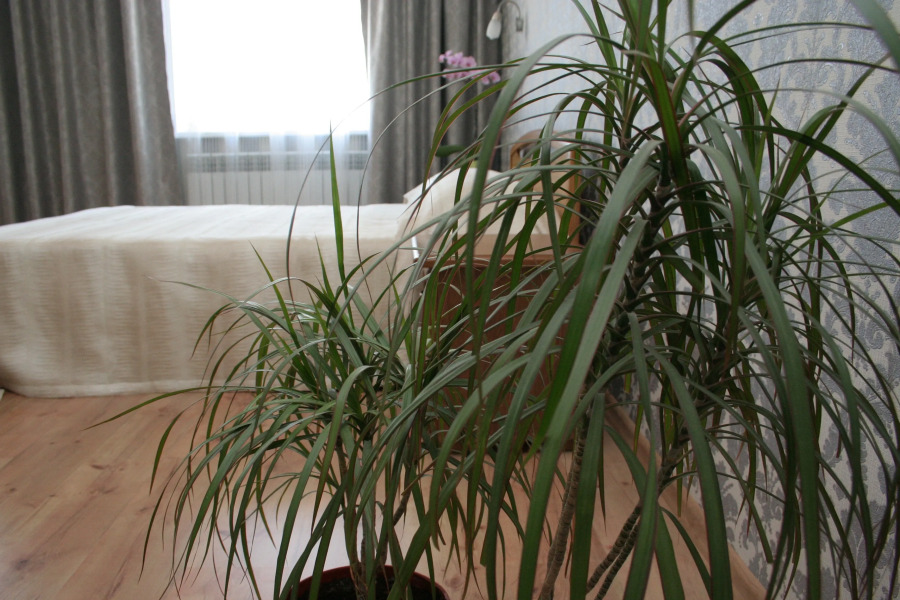 Гостевой дом Travel House