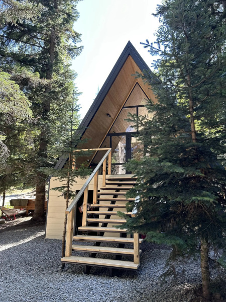 Счастливый лось