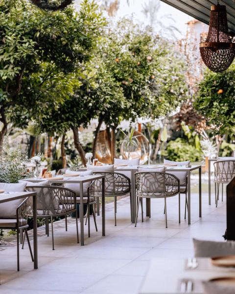 Отель Casa Sur Antalya