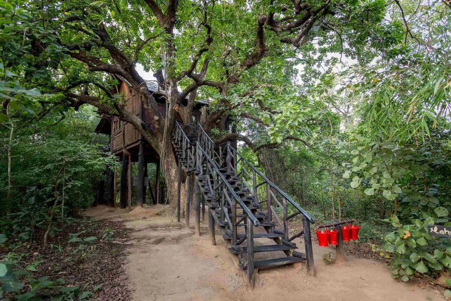 Жилое Помещение Pugdundee Safaris - Tree House Hideway