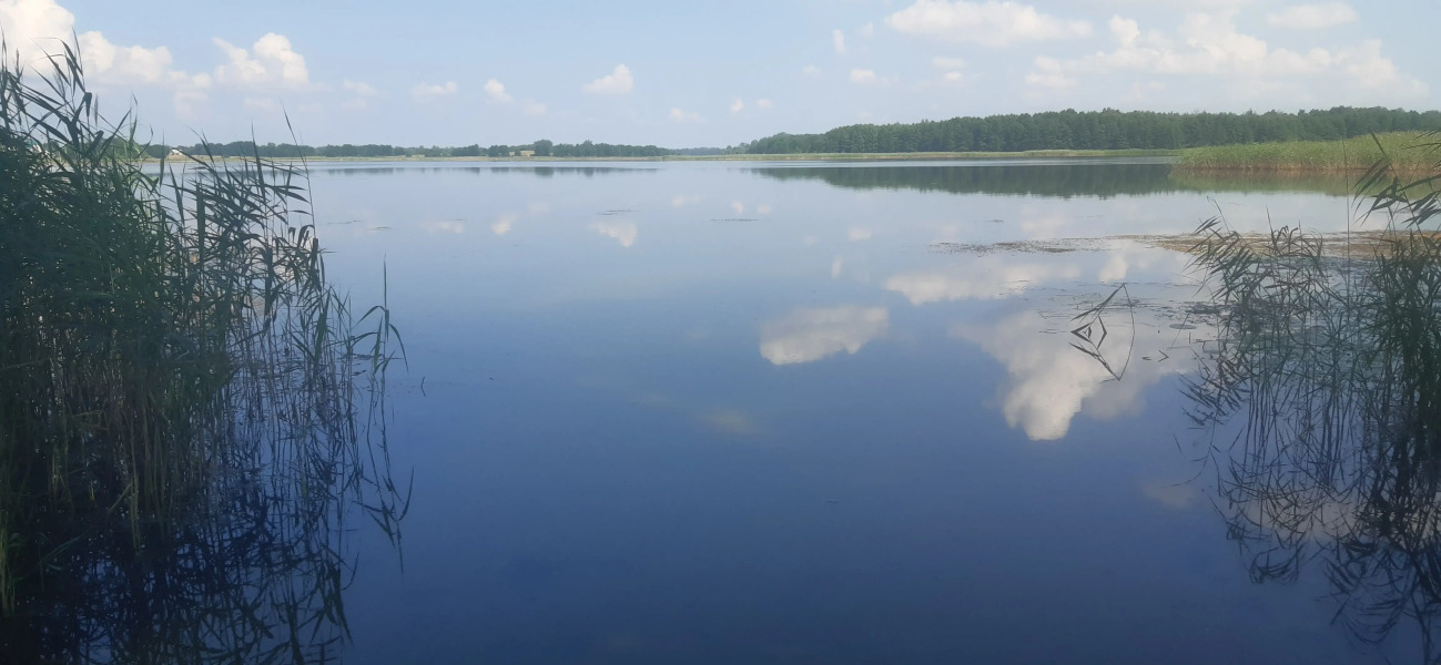 Частный Дом Агроусадьба Сосны
