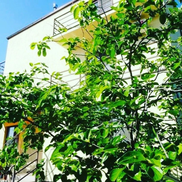 Гостевой дом Уют