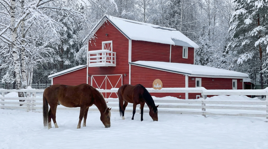 Глэмпинг А-Ферма