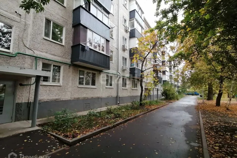 Квартира Даурская, Город на Ладони