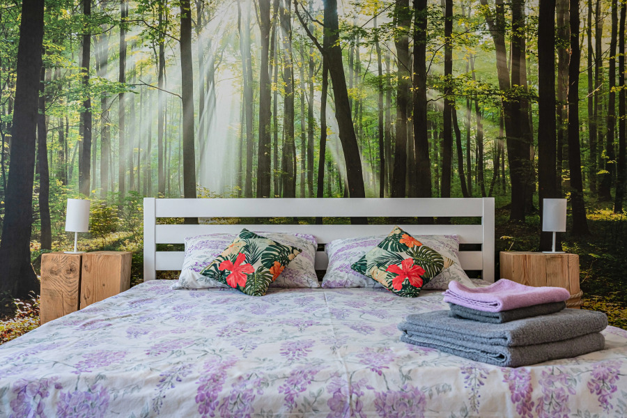 Апартаменты на пешеходной улице с 2-мя спальнями