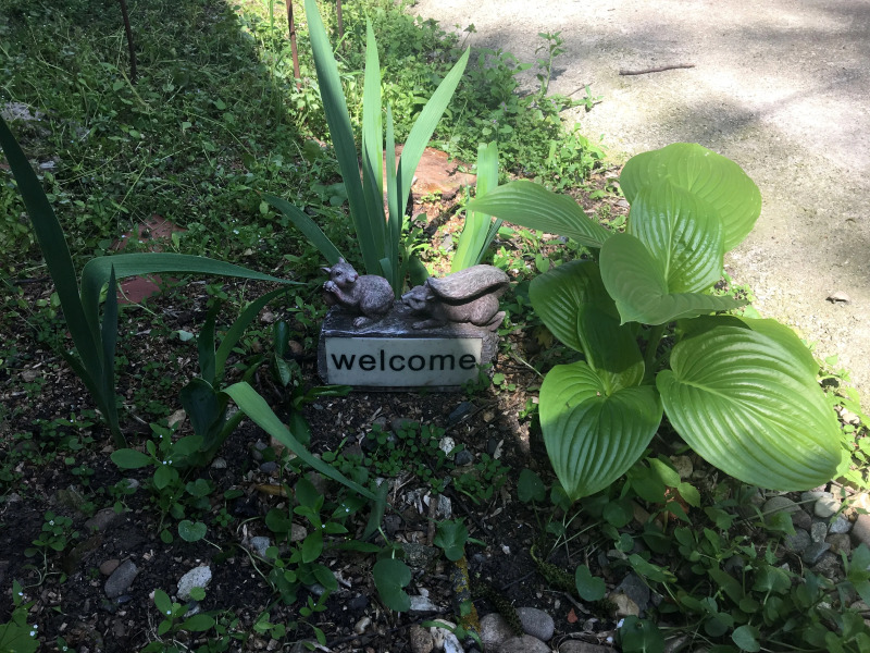 Гостевой Дом на Горького 377