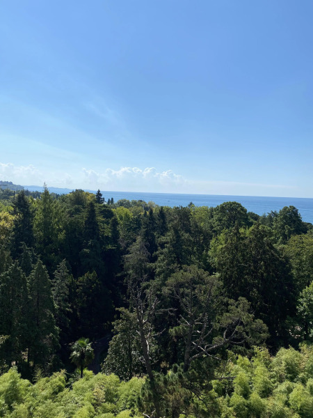 Апартаменты Дизайнерская Квартира в Новой Александрии