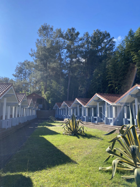 Гостевой дом Ласточка Роща