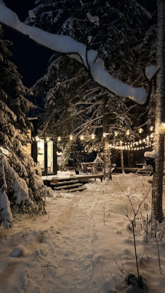 Гостевой дом в лесу