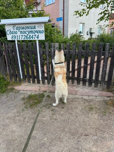 Гостевой дом Гармония