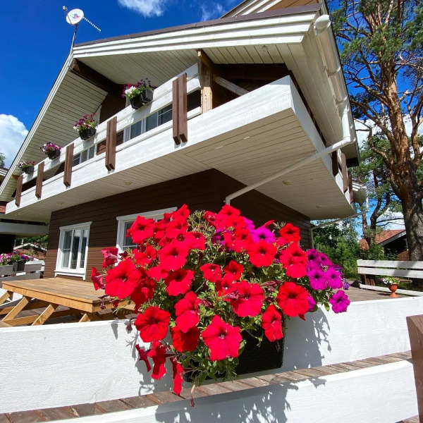 Меблированные комнаты Моя Дача