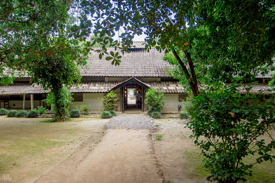 Кемпинг Tigertops Elephant Camp