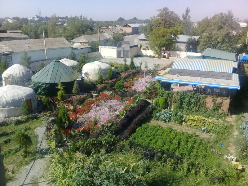 Хостел Kitob Sayyoh