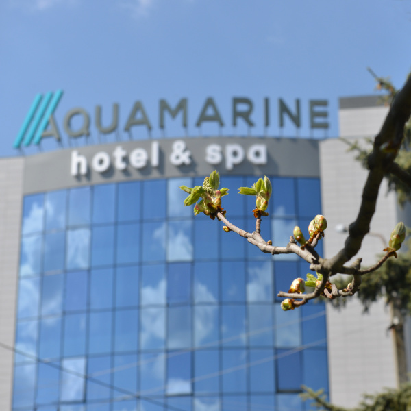 Отель Aquamarine hotel&spa
