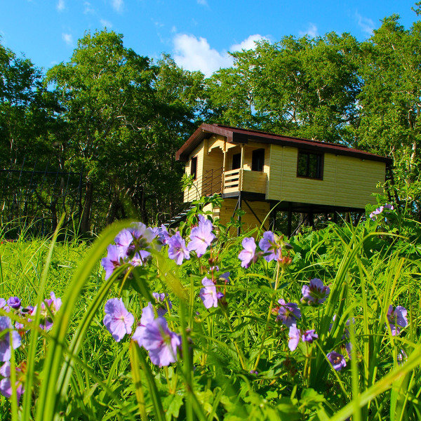 Мини-Отель Kamchatka Magic Wood