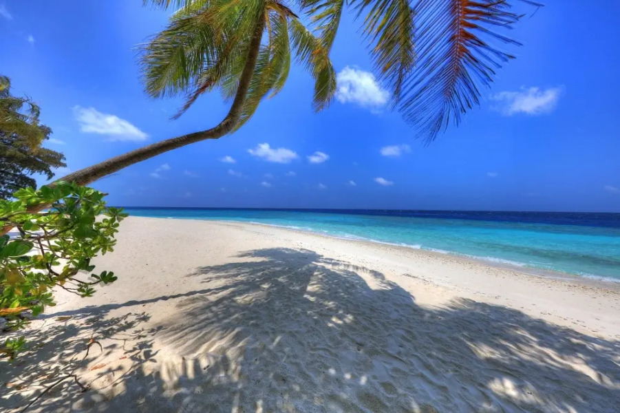 Гостевой Дом Koimala