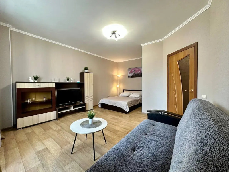 Квартира Однокомнатная Революционная 7