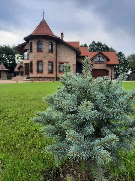 Гостевой дом Агроусадьба Яновский замок