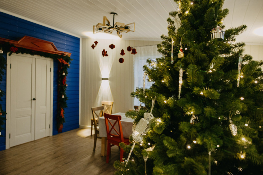 Частный дом Синяя СИНИЦА