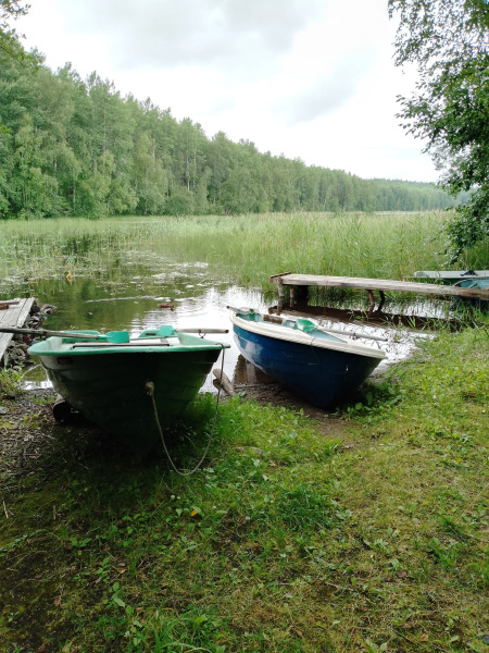 Гостевой дом Домик