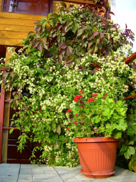 Гостевой Дом Ивановский