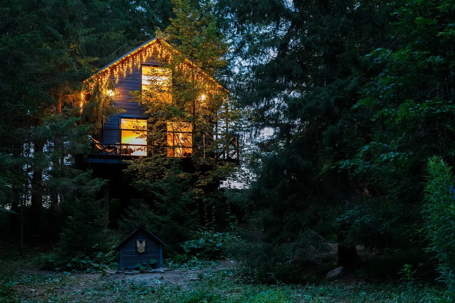 Глэмпинг Опушка Дом среди деревьев