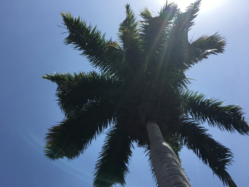 Отель Big Apple