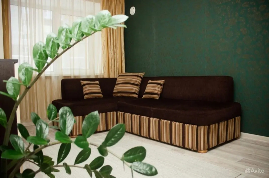 Квартира Ледовый дворец