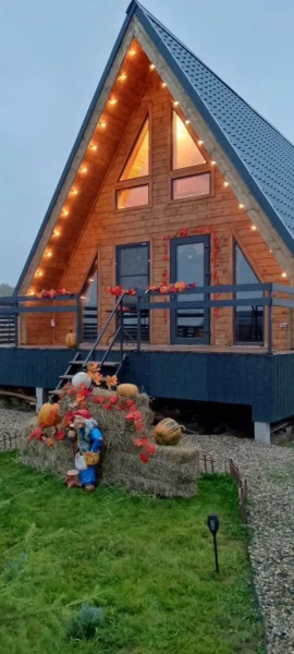 Частный дом на Каштановой 218