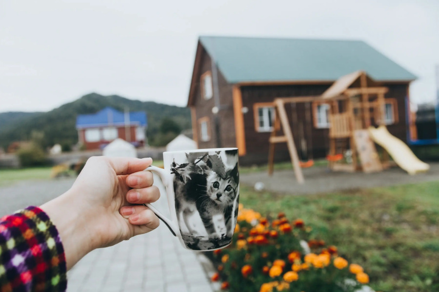 Usadyba Kotovskikh Guest House