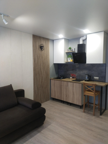 Квартира Студия возле курорта Игора