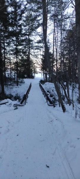 Sosnovy Bor Guest House