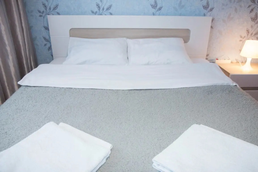 Двухкомнатные апартаменты у ДК Металлургов. Барбарис