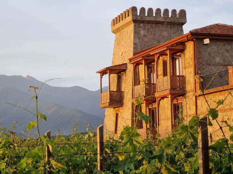 Отель Chateau Davitiani