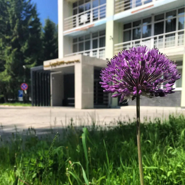 Кантри-отель Березки