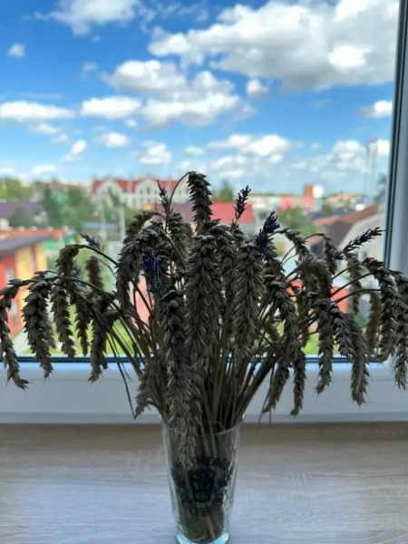 Квартира на Физкультурной