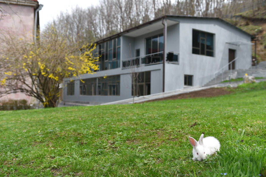 Отель Green Wood