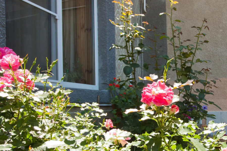 Гостевой дом Владислава