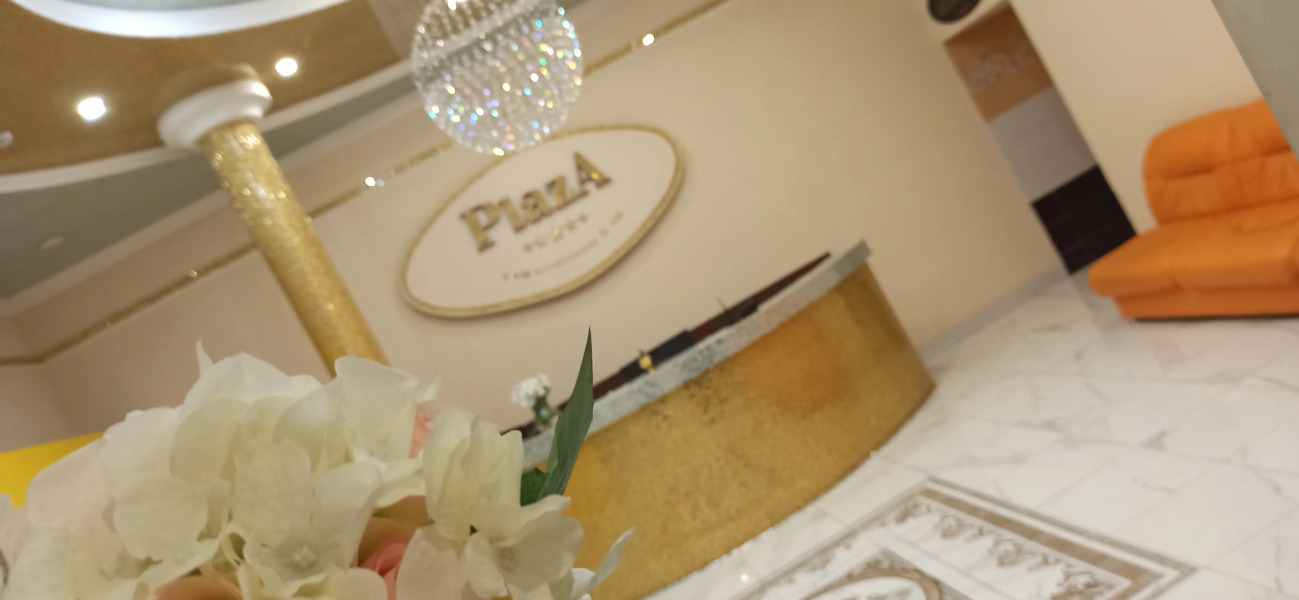 Отель Spa-Hotel Plaza