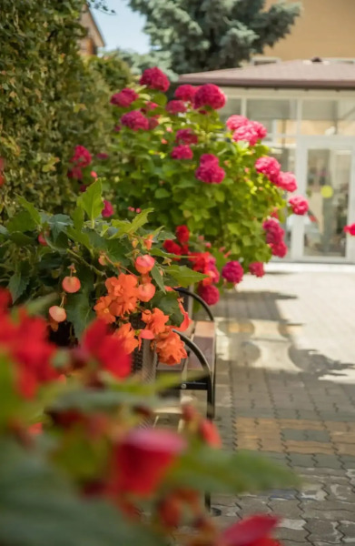 Гостевой дом Пальма парк