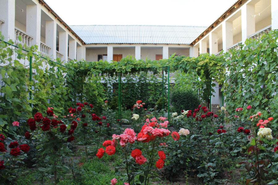 Гостевой дом Солнечная Орхидея